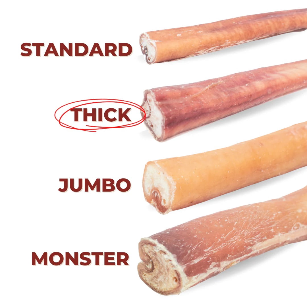 6 Inch Thick Bully Stick - 10 Pack