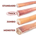thumbnail image 6 of Bully Bunches Premium 6 Inch Thick Bully Stick - 5 Pack, 6 of 8