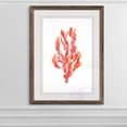 thumbnail image 4 of Wexford Home Coral Kelp II-Framed - Espresso - 16X22, 4 of 4