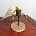 thumbnail image 2 of Stand for Bird Games, Playground for Wooden Perches for MultiPurpose Playground for Lovebirds, Parakeets, Nymphs, Interactive Playground for', 2 of 5