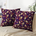 thumbnail image 3 of LALILO Throw Pillow Covers Paisley Backdrop Circle Color Colorful Cushion Cover 18" x 18", 4202 Pack, 3 of 6