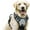 I, variant on PawSafety No Pull Pet Vest Harness for Secure Control and Comfortable Outdoor Walking with Reflective Stitching