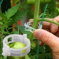 thumbnail image 7 of WEISIPU 50-300PCS Plant Support Clips Ties Veggie Trellis Stake Greenhouse Tomato Garden Tools, 7 of 7