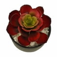 thumbnail image 2 of Sunxin Artificial Flowers Artificial Artificial Flower Artificial Greenery Plant Cactus Realistic Arrangements for Home Decor Horticultural Design Party Accessories, 1* Simulated Succulents, 2 of 9