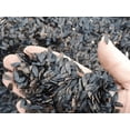 500-1500 natural new variety of short-leaved spherical hosta seeds ...