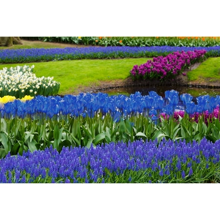 Eco Collection Cereal - Touch Of ECO Blue Flower Garden Mixed Bulb Collection