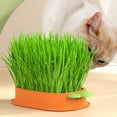 thumbnail image 2 of 2 Packs Pet Cat Sprout Dish Growing Pot Hydroponic Plant Cat Grass Germination Starter Dish Greenhouse Grow Box, 2 of 7