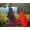 Red tassels, variant on LED Chinese Japan Yarn Oiled Paper Silk Cloth Umbrella Costume Ancient Princess Umbrella Drama White Craft Umbrella Cosplay