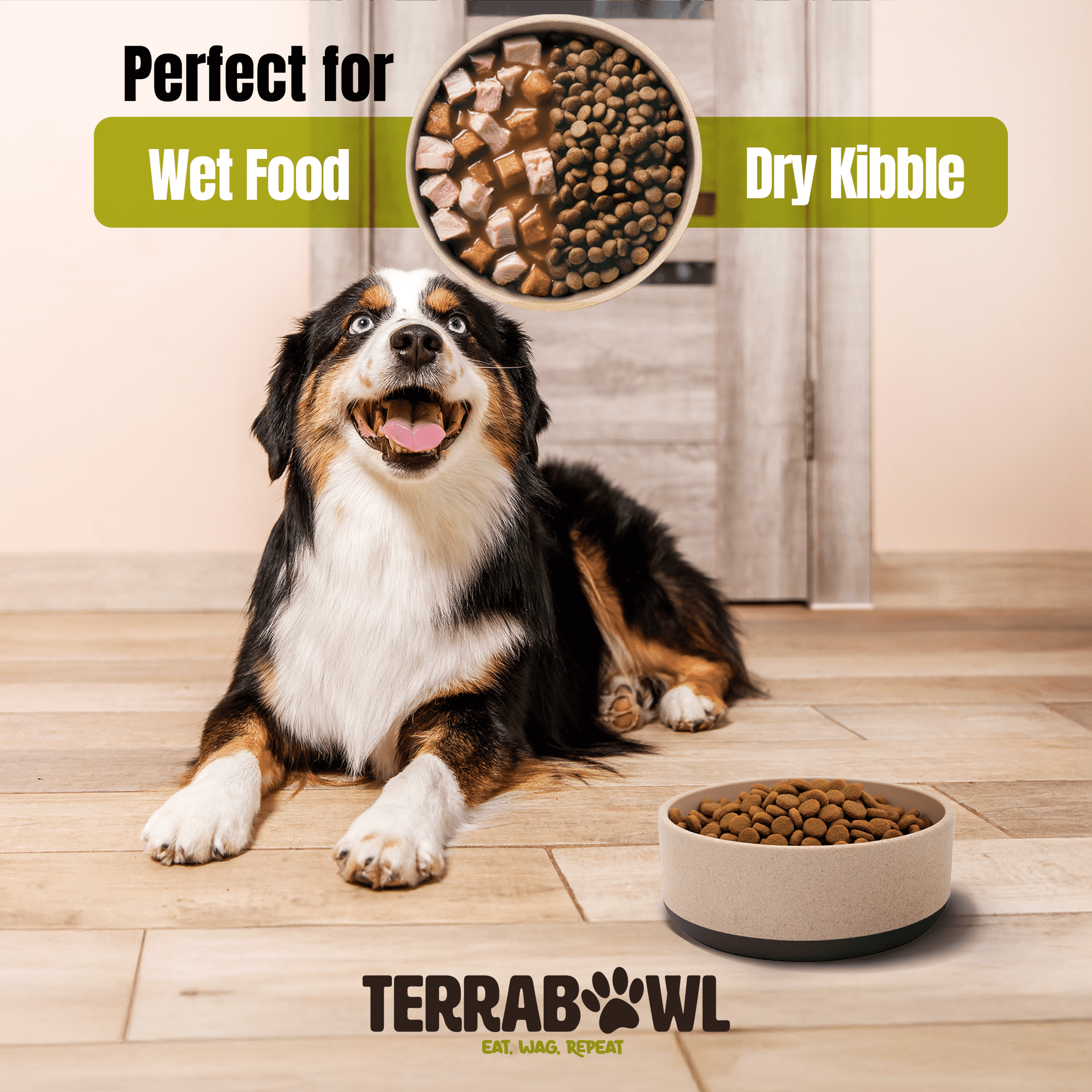 TerraBowl 48 oz. Eco-Friendly, Non-slip Pet Bowl with Lid for Dogs and Cats