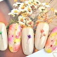 thumbnail image 4 of 12 Color Dry Flower Kit With 24 Unique Stickers For Long Lasting Manicure Decoration Design, 4 of 5