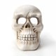 thumbnail image 1 of Organizador de joyas Skull Tidy / Cuenco para llaves y decoración de habitaciones - Decoración gótica y accesorios de mesita de noche - Gótico LingWen 1327534150100, 1 of 1