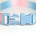thumbnail image 6 of Didog Fashion Colorful Pet Dog Collars Durable Nylon Adjustable Quick Fit Buckle, 6 of 9