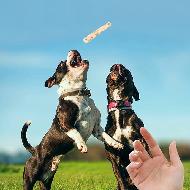 YIMWNYI Pet Puzzle Toy - Interactive Dog Sticks Toy, Wooden Chew Toy, Problem-Solving Puzzle, Indoor & Outdoor Fun, Safe and Durable Pet Entertainment