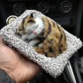 thumbnail image 4 of Adorable Miniature Cat Inside Soft Mattress Bed Realistic Meowing Sound Interactive Pet Toy For Children, 4 of 4