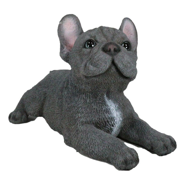 Hand Made Plush Blue Grey Frenchie FRENCH BULLDOG Realistic Plush Toy Dog  Can Be Gift Wrapped and Personalized With Engraved Tag 