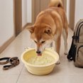 thumbnail image 3 of Collapsible Silicone Slow Feeder Pet Bowl Portable Anti Slip Suction Travel Food Water Dish For Dogs Cats Outdoor Use(Yellow-15cm), 3 of 5