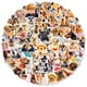 thumbnail image 1 of Paquete de pegatinas divertidas con memes de perros, 100 unidades, Realistic Puppy Expres, 1 of 2