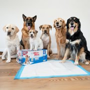 Four Paws Wee-Wee® Superior Performance Gigantic Dog Pee Pads with Runoff Edge Guard 27.5 x 44 (18 Count)