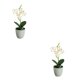 thumbnail image 2 of Planta de bonsái artificial Wosthever blanca 2Conjunto, 2 of 6