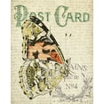 thumbnail image 2 of Allen, Kimberly 12x14 White Modern Wood Framed Museum Art Print Titled - Postcard Butterfly 1, 2 of 4