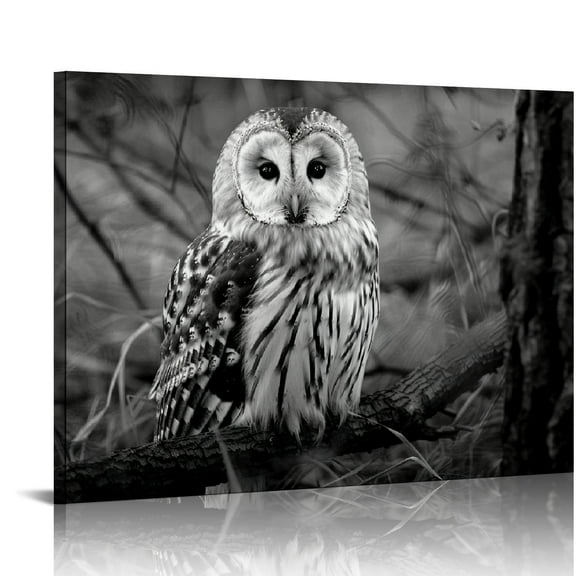Shiartex Black and White Owl Canvas Wall Decor Bird Artwork, Wild Animal Owls on Branch Forest Night Landscape Picture Prints Poster for Home Living Room Bedroom Bathroom Decorations Ready to Hang