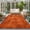 Rust, Orange, variant on 2x3 Ft Entryway Area Rug, Mottling Orange Kitchen Rug Runner Washable Floor Mat, Modern Rustic Farmhouse Orange Vintage Non Slip Indoor Door Mat Throw Carpet for Bathroom Living Room Bedroom