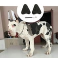 thumbnail image 2 of 1 Set Pets Stand Up Sticker For Doberman Pinscher Dog Samoyed, 2 of 6