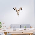 thumbnail image 5 of Skull Sheep Head Wall Sculpture 3D Animal Longhorn Skull Head for Room , D 42x34x16cm, 5 of 8