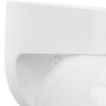thumbnail image 5 of Non-Metallic Incandescent One-Light Outdoor Wall Lantern, 5 of 8