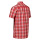 thumbnail image 4 of Regatta - Camisa Mindano VII Cuadro de Manga Corta para Hombre (Sevilla), 4 of 4