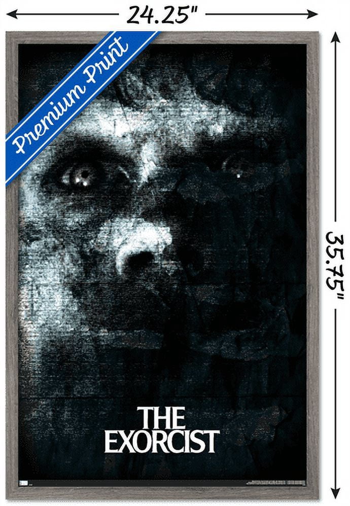 The Exorcist - Face Wall Poster, 22.375" x 34", Framed