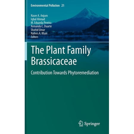 ISBN 9789400739123 product image for Environmental Pollution: The Plant Family Brassicaceae : Contribution Towards Ph | upcitemdb.com