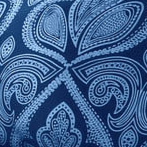 Paisley Navy