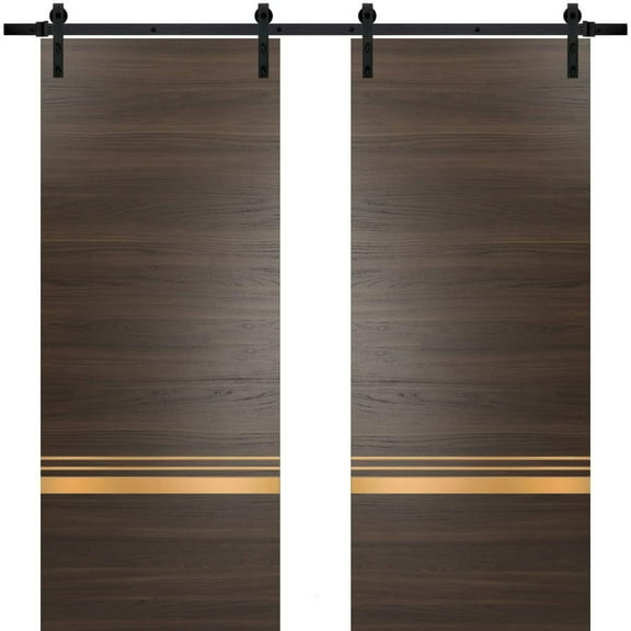 Sturdy Double Barn Door 36 x 80 inches with | Planum 2010 Chocolate Ash with Frosted Glass | 13FT Rail Hangers Heavy Set | Solid Panel Interior Doors