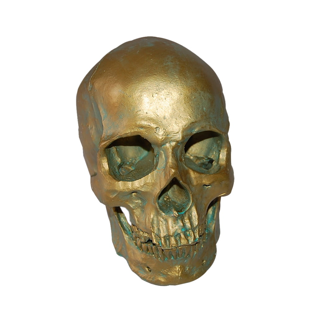 1:1 Human Skull Resin Model Skeleton Decoration   Tank Decor Craft #1 