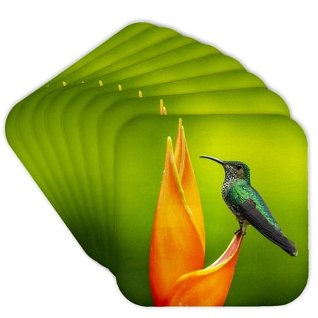3drose, Costa Rica White-necked Jacobin Hummingbird, Female, at Heliconia, Set of 8 Coasters - Cork