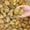 Yellow, variant on 20 lbs Red River Rocks for Landscaping, 1-2 Inch Polished Pebbles for Indoor Plants, Decorative Rocks Stones for Plants, Vases, Aquariums, Fountains, Pathways, Backyard and Garden