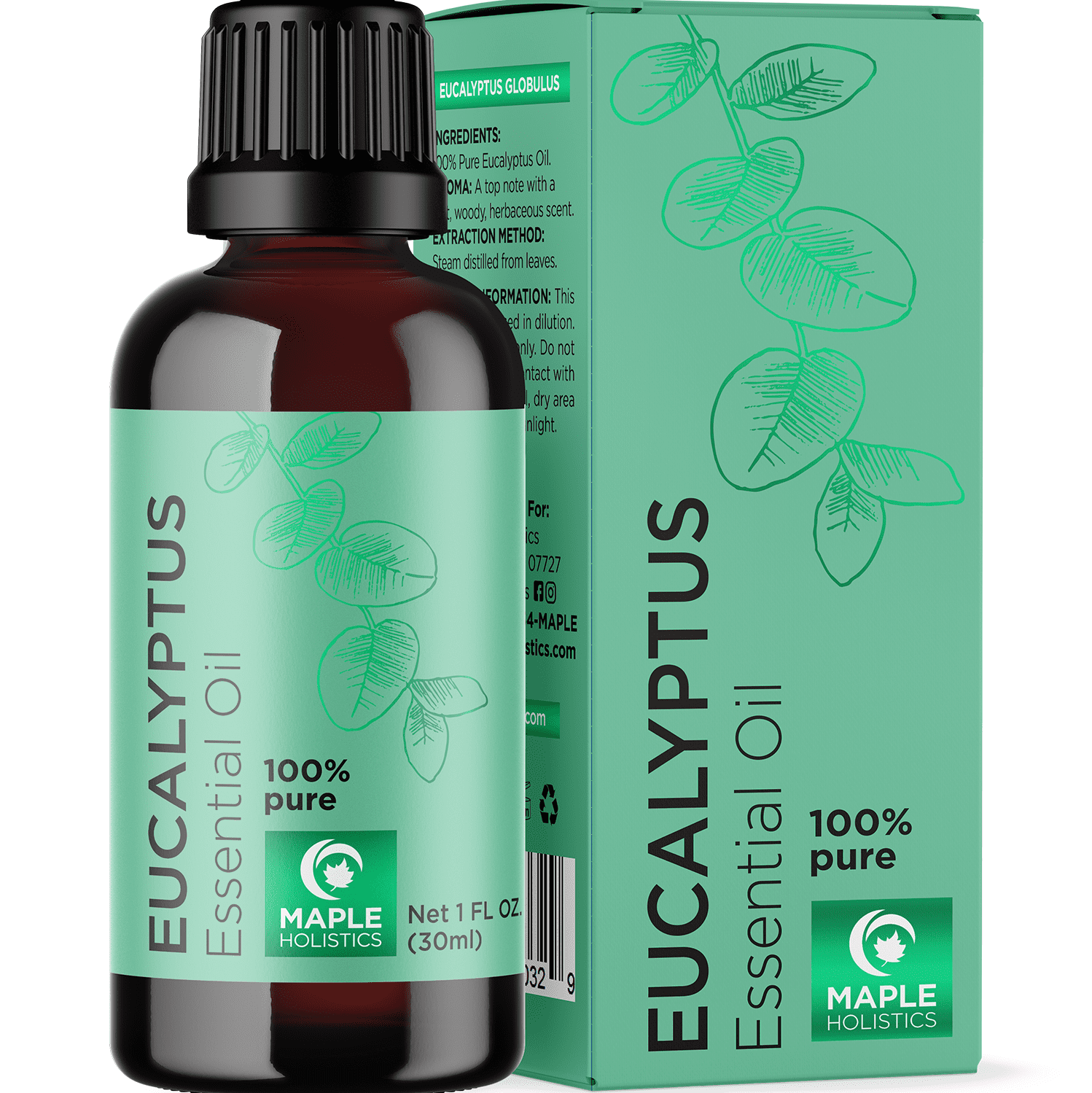 Maple Holistics Eucalyptus Essential Oil for Diffuser, 1oz Walmart
