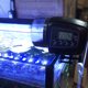 thumbnail image 4 of Pantalla Lcd Digital Automático Alimentador De Peces Durable Eléctrico Inteligente Temporizador De Peces Alimentador De Peces Scienceny PT001241-00, 4 of 5