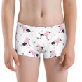 thumbnail image 5 of Yiaed Cute Poodle Dog Print Boys' Boxer Briefs Cotton Casual Stretch Comfort Boys Boxers - Kids Boxer Briefs Underwear for Boys (6-18)-X-Large, 5 of 5
