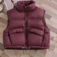 thumbnail image 6 of StSilkitty Puffer Vest for Boys Girls Zip up Sleeveless Stand Collar Jacket Coat Fall Winter Warm Outerwear with Pockets, 6 of 9