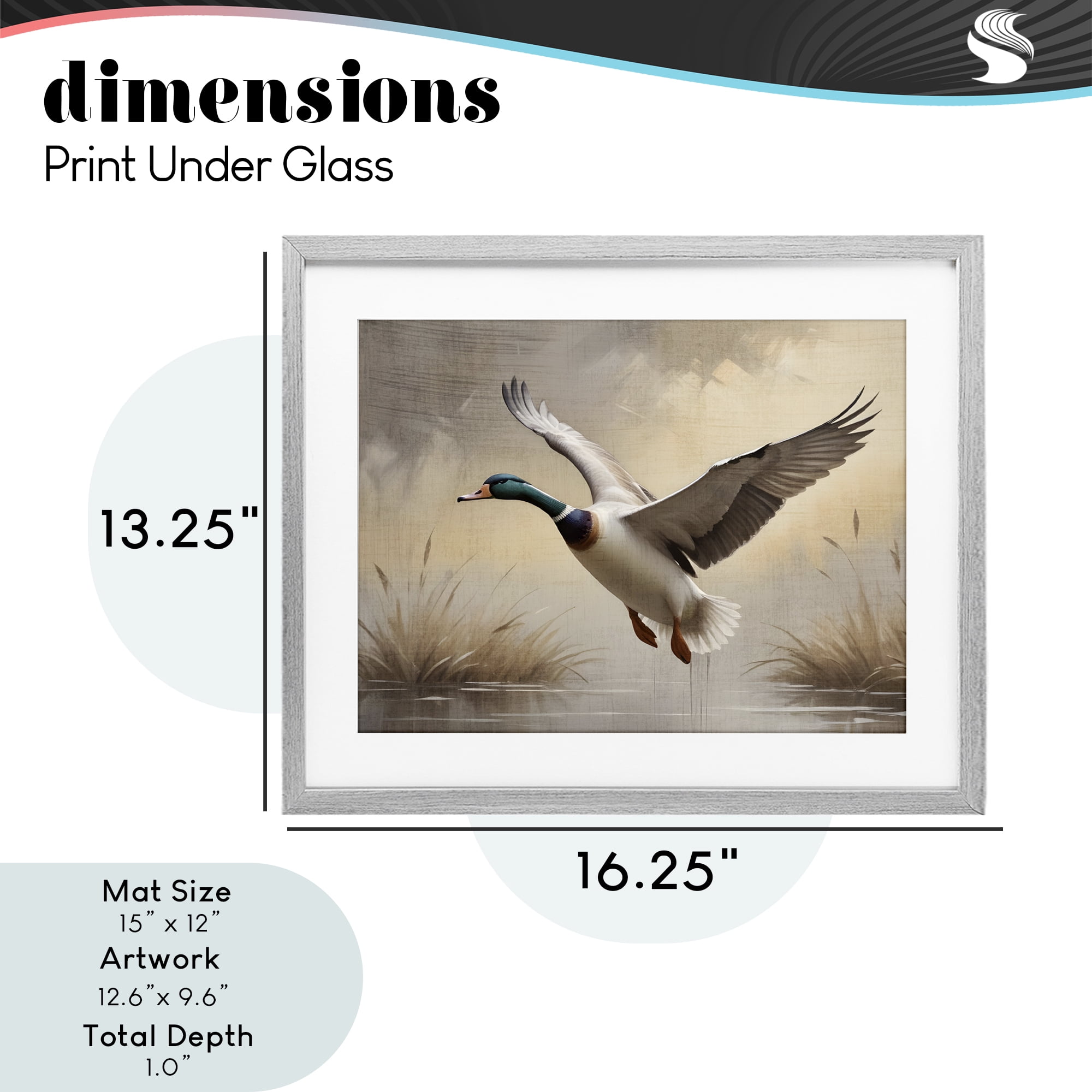Stupell Industries Gliding Mallard over Wetlands Gray Framed Print Under Glass, design by Susan Arnot