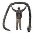 thumbnail image 1 of Big Plush® Giant Stuffed Snake 18 Feet Long Soft Gray Color Huge Plushy Serpent Made in the USA, 1 of 8