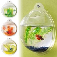fish tanks aquariums bowls