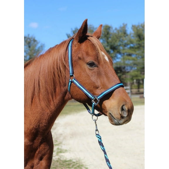 TuffRider Nylon Breakaway Halter  Lead Rope Set