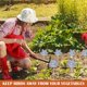 thumbnail image 5 of Repelente de pájaros (paquete de 10), espantapájaros reflectantes para molinos de viento que ahuyentan a los pájaros en el jardín, huerto, hogar, granja, más seguro y eficaz que en cualquier, 5 of 5