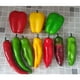 thumbnail image 2 of 10 chiles artificiales de imitación para decoración de mesa, escaparate, escaparate, manualidades realistas, accesorios fotográficos de verduras falsas, decoración del hogar (estilo mixto), 2 of 5