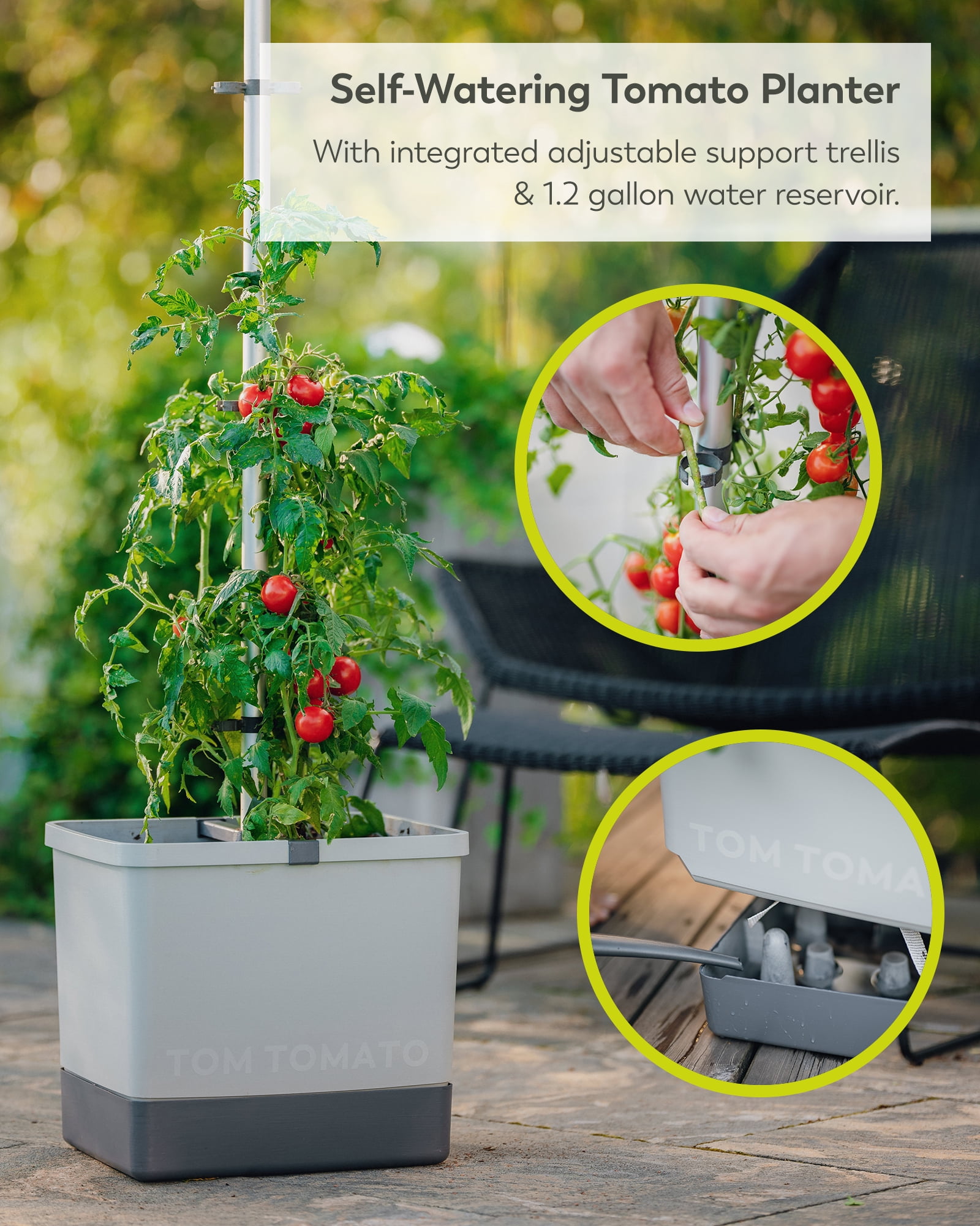 BUZZY Seeds Self-Watering Vertical Tomato Planter with Trellis – 1.2 Gal Reservoir, Large Capacity Planter for Tomatoes & Climbing Plants (Gray)