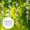 silvery, variant on Reflective Garden Scare Rods Wind Proof Bird Deterrent for Yards Orchards and Balconies, 360° Rotating Safe Animal Repelling and Decorative Outdoor Use