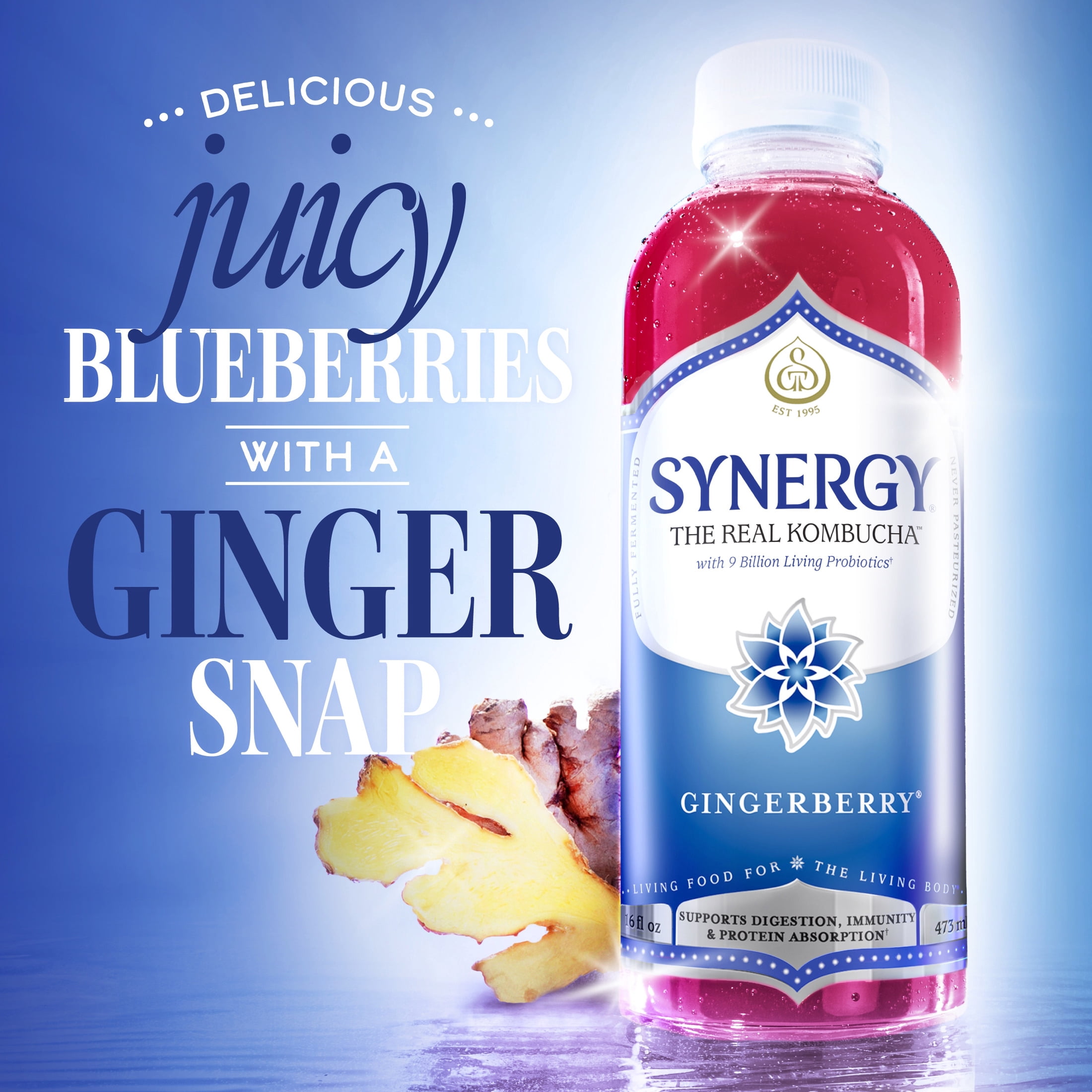 (2 pack) Synergy Gingerberry Kombucha 16 fl oz